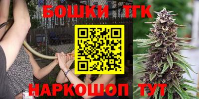 МДПВ Долгопрудный